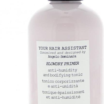 DAVINES YOUR HAIR ASSISTANT BLOWDRY PRIMER SPRAY 250ML