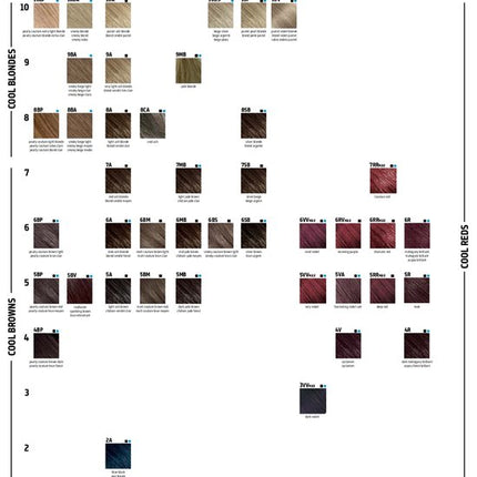 Goldwell - Topchic Depot Bus - 10-V Pastel Violet Blond - 250 ml