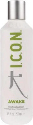 I.c.o.n. Voedende Conditioner Detoxifying  250ml
