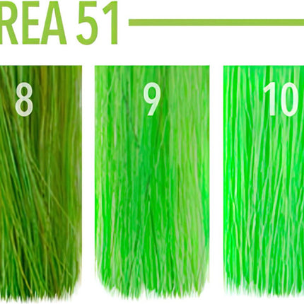 Pulp Riot Semi-permanent Hair Color Area 51 118ml