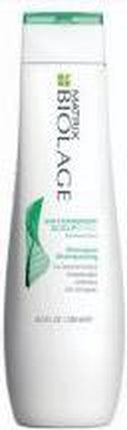 Matrix Biolage Scalpsync Anti-Dandruff - 250 ml