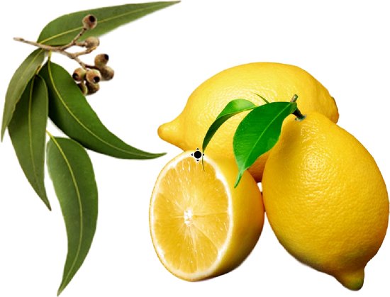 Lemon eucalyptus oil - Huidolie - Aromatherapy - Aromatherapie - 150 ml Mamado