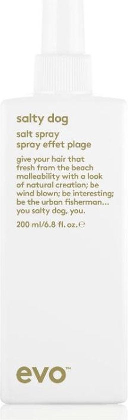 Evo Salty Dog Beach Saltspray