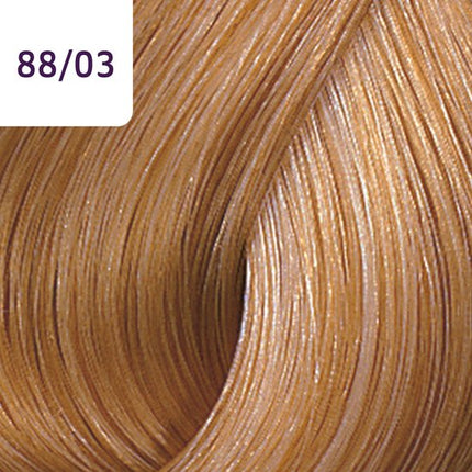 Wella Color Touch Plus 88/03 60ml