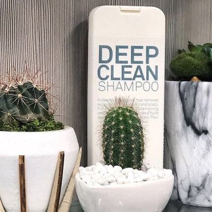 Ontvettende Shampoo Eleven Australia Deep Clean (300 ml)