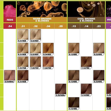 L'Oréal INOA Supreme 1+1 9.13 60gr