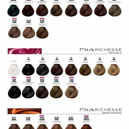L'Oréal Paris (public) DIA Richesse haarkleuring 50 ml
