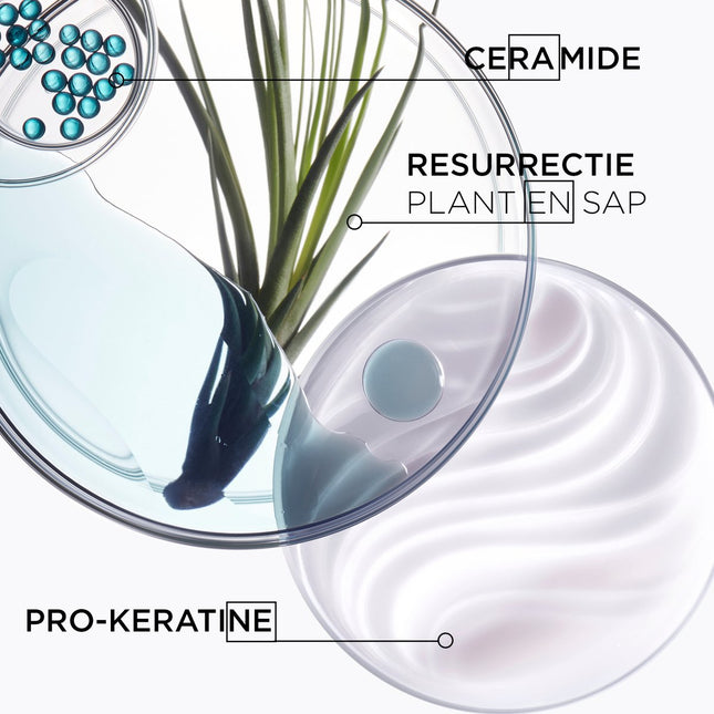 Kérastase Resistance Bain Force Architecte Shampoo - 250ml