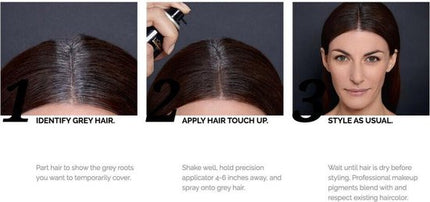 L'Oréal Paris (public) Hair Touch Up