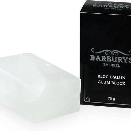Barburys Aluin Alum Block